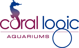 Best Approach to Saltwater Aquariums | Coral Logic 